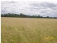 4771 ACRES WELL IMPROVED CATTLE PROPERTY, Tara QLD 4421