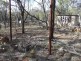 Lot 71/ KYTES ROAD, Tara QLD 4421