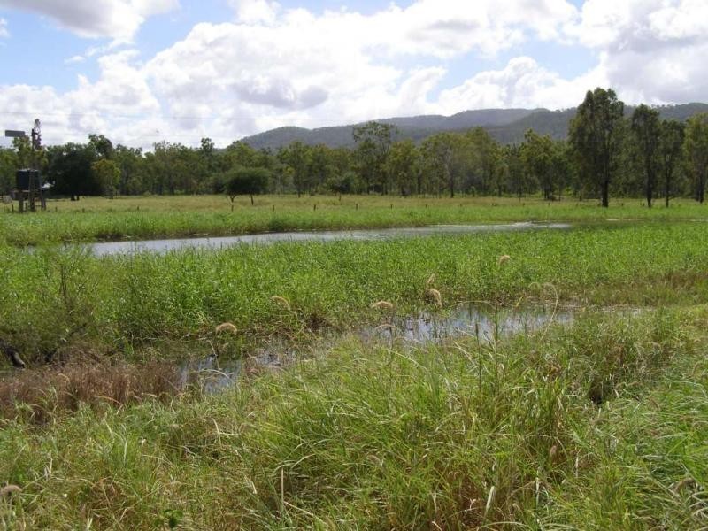 Rockhampton QLD 4700