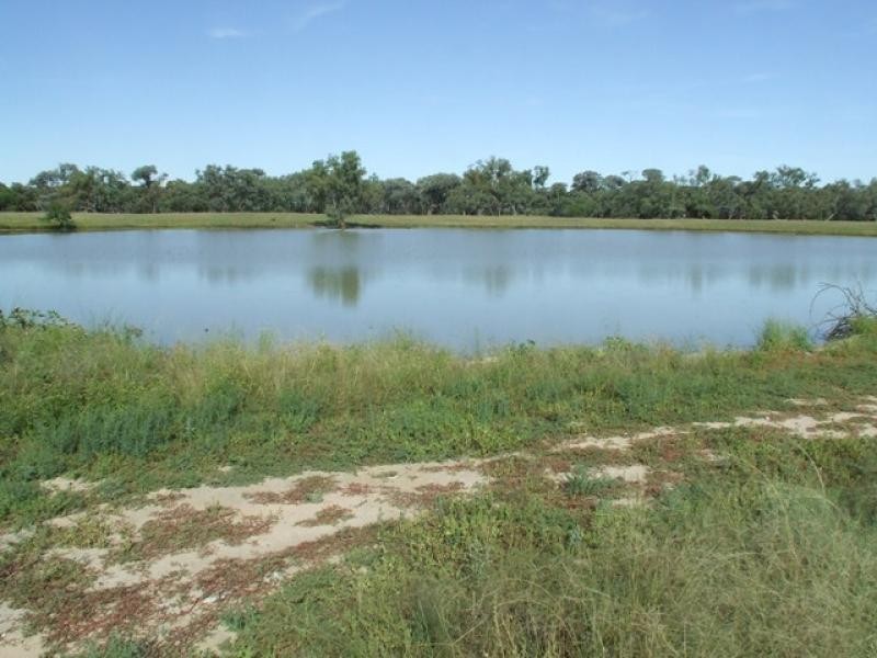 10601 Jobs Gate Road, Cunnamulla QLD 4490 the real estate agency