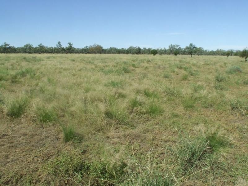 10601 Jobs Gate Road, Cunnamulla QLD 4490 the real estate agency