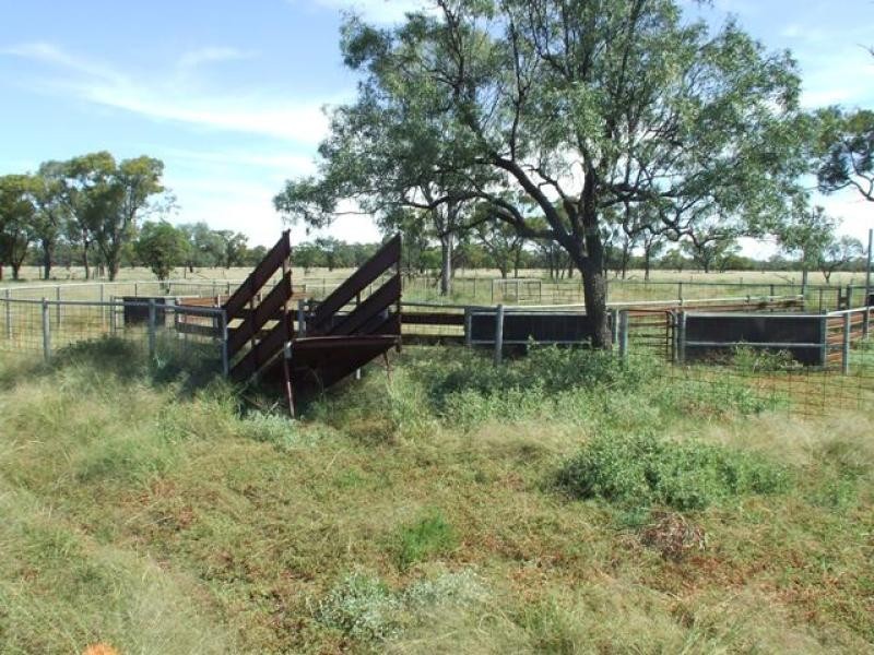 10601 Jobs Gate Road, Cunnamulla QLD 4490 the real estate agency