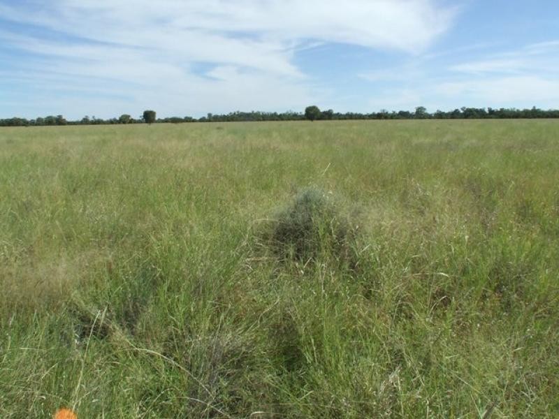 10601 Jobs Gate Road, Cunnamulla QLD 4490 the real estate agency