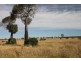 Miles QLD 4415