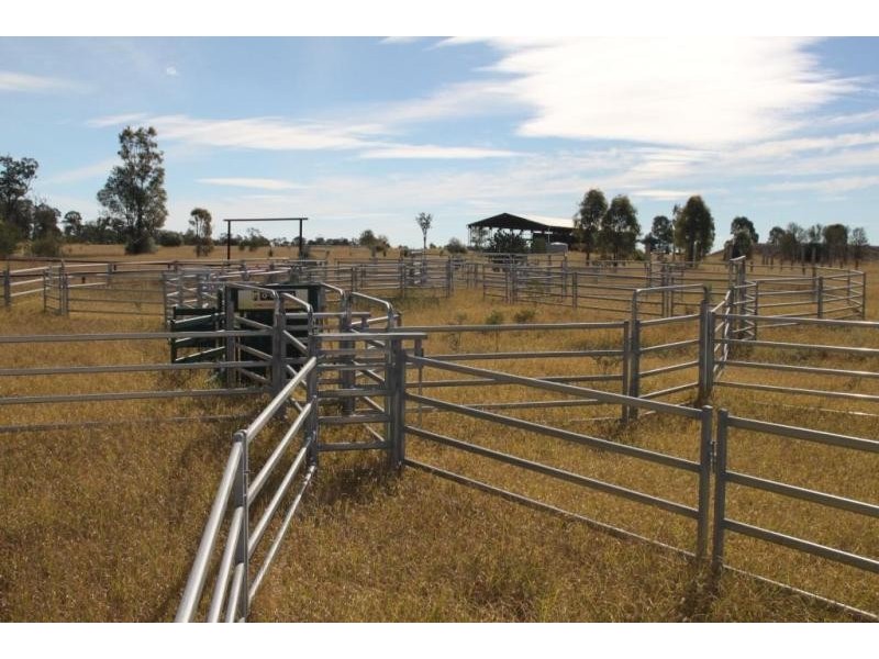 Miles QLD 4415
