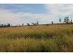 Miles QLD 4415