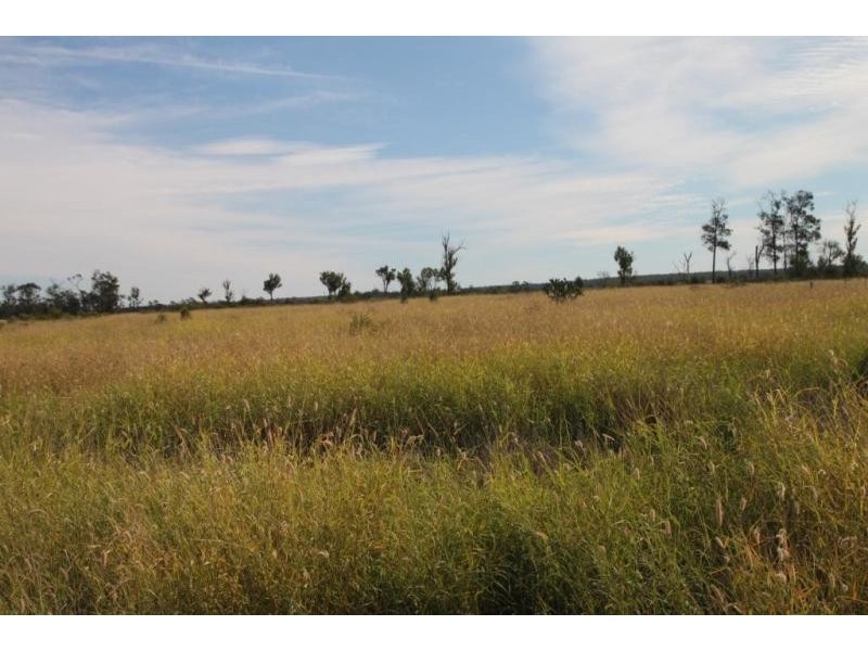 Miles QLD 4415