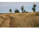 Miles QLD 4415