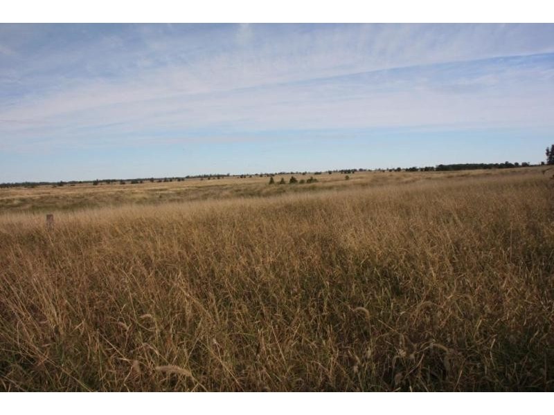Miles QLD 4415