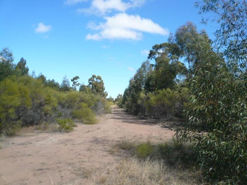 Lot 184/ TREGATHLYN ROAD, Tara QLD 4421