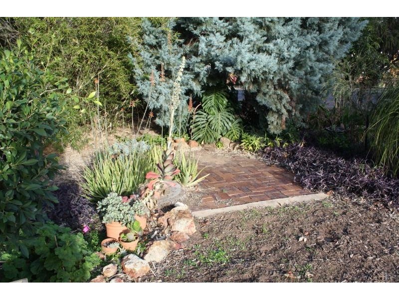 81 Victoria Street, St George QLD 4487