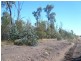 Lot 80/ ORCHARD ROAD, Tara QLD 4421