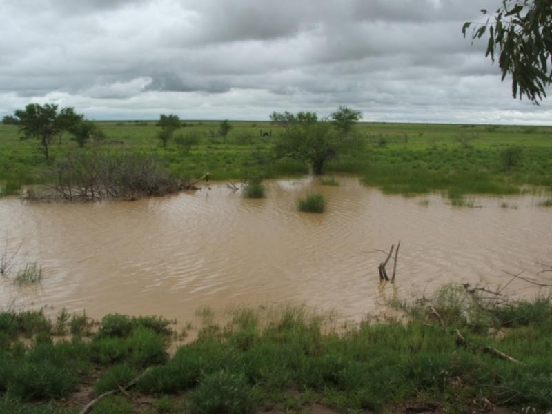 Ingle Downs, Moreena & 20 Mile, Winton QLD 4735