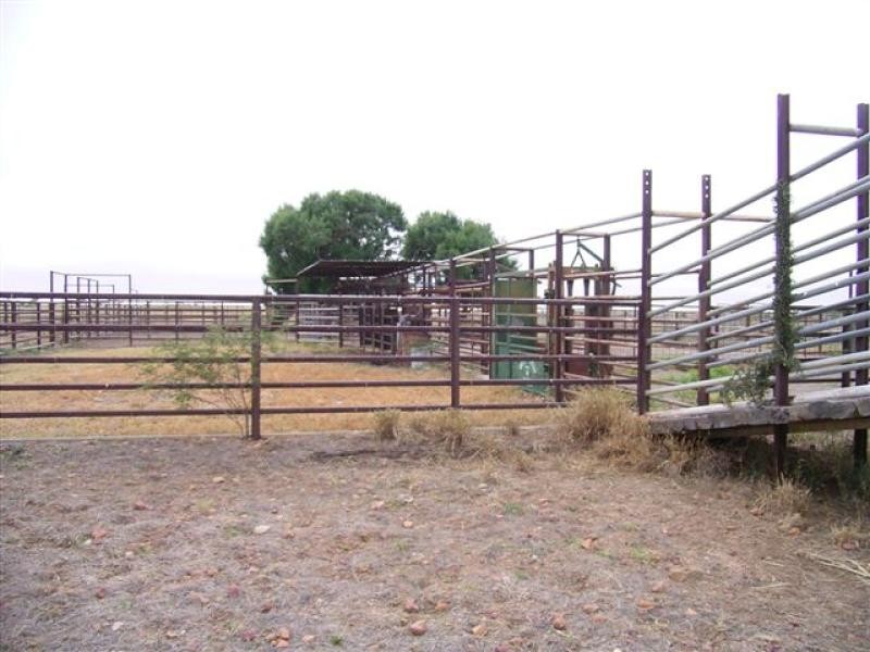 Ingle Downs, Moreena & 20 Mile, Winton QLD 4735