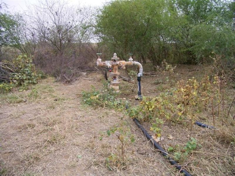 Ingle Downs, Moreena & 20 Mile, Winton QLD 4735