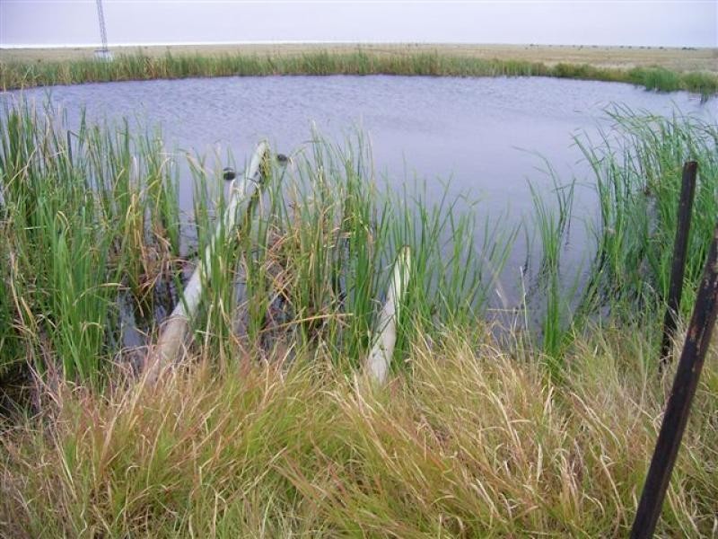 Ingle Downs, Moreena & 20 Mile, Winton QLD 4735