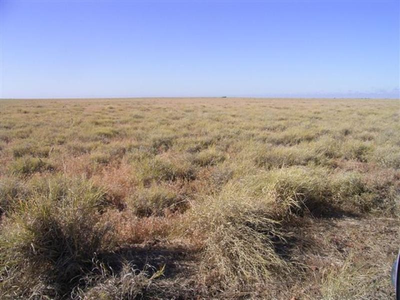 Ingle Downs, Moreena & 20 Mile, Winton QLD 4735