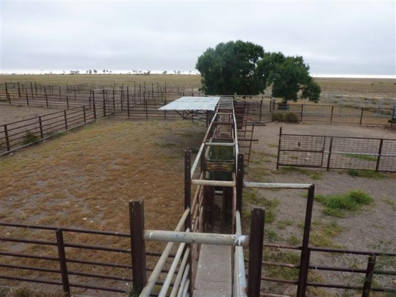 Ingle Downs, Moreena & 20 Mile, Winton QLD 4735