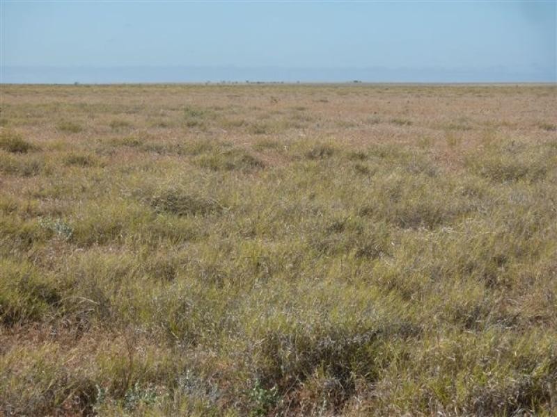 Ingle Downs, Moreena & 20 Mile, Winton QLD 4735