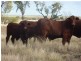 Ingle Downs, Moreena & 20 Mile, Winton QLD 4735