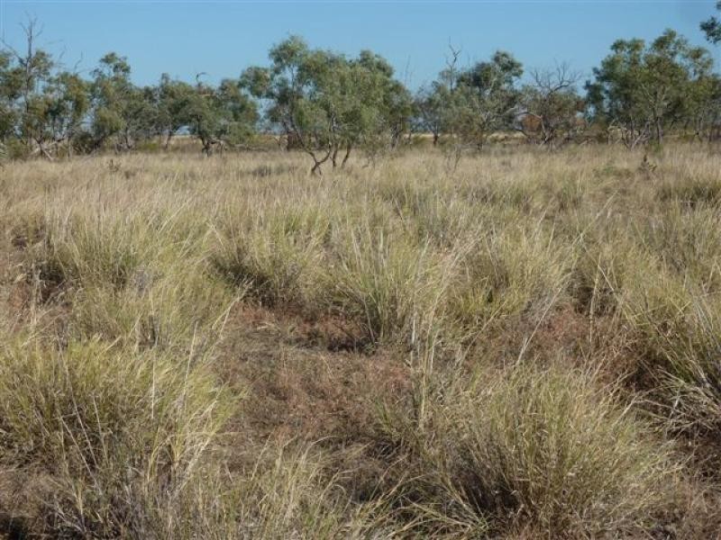Ingle Downs, Moreena & 20 Mile, Winton QLD 4735