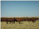 Ingle Downs, Moreena & 20 Mile, Winton QLD 4735