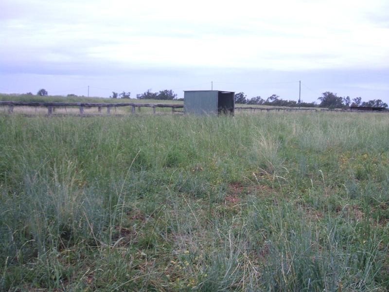 Dalby QLD 4405
