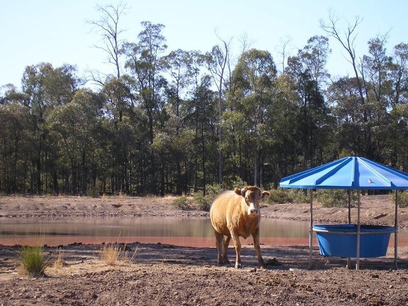 27,553 ACRES FORESTRY LEASE, Chinchilla QLD 4413