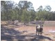 27,553 ACRES FORESTRY LEASE, Chinchilla QLD 4413