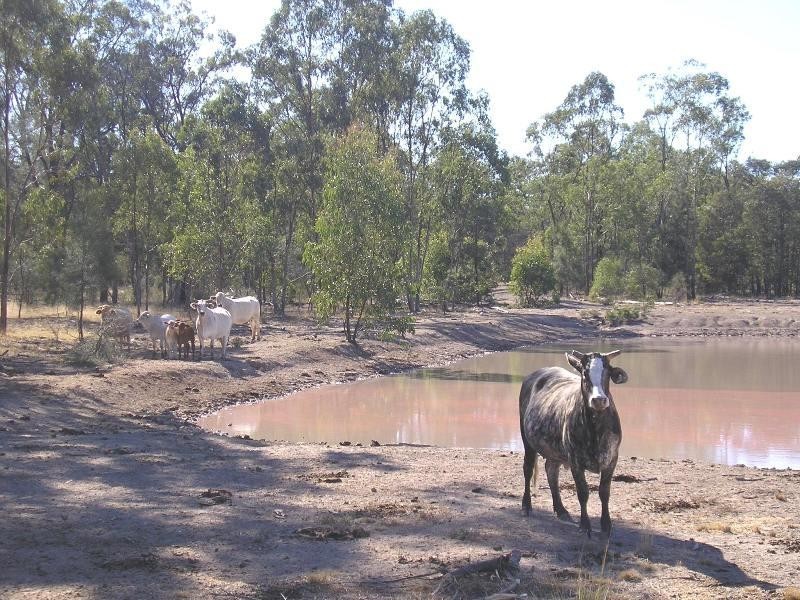 27,553 ACRES FORESTRY LEASE, Chinchilla QLD 4413