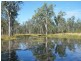 27,553 ACRES FORESTRY LEASE, Chinchilla QLD 4413