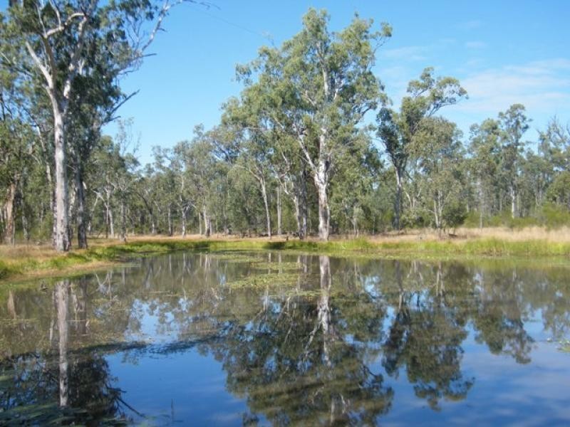 27,553 ACRES FORESTRY LEASE, Chinchilla QLD 4413