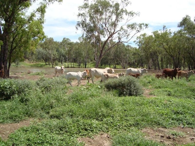Springsure QLD 4722