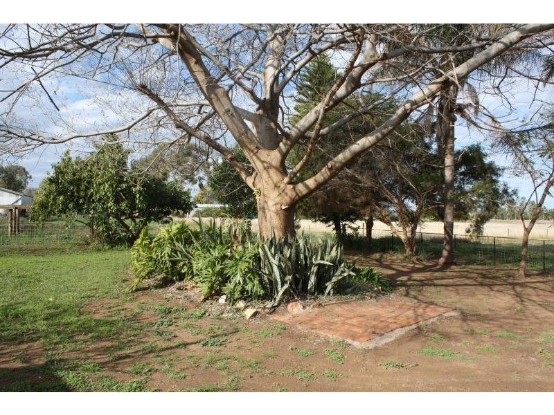 12155 Carnarvon Highway, St George QLD 4487