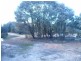 1974 TULAGRIE ROAD, Tara QLD 4421