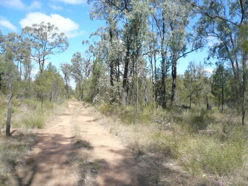 443 ARNOLDS ROAD, Tara QLD 4421