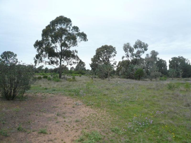 Lot 47/62 KYTES ROAD, Tara QLD 4421
