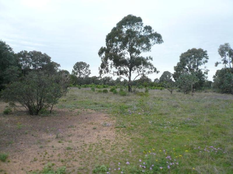 Lot 47/62 KYTES ROAD, Tara QLD 4421