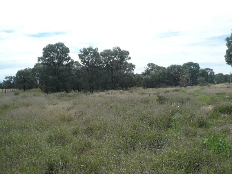 26 SURAT DEVELOPMENT ROAD, Tara QLD 4421