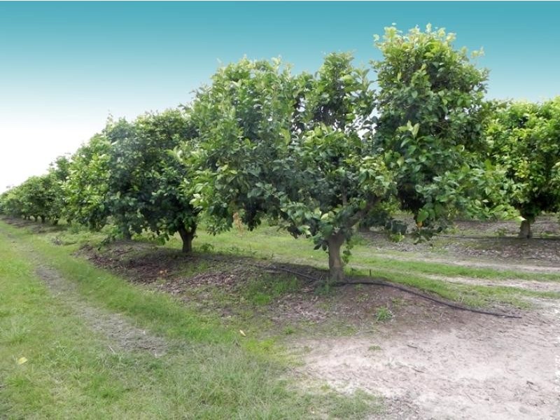 3245A Monduran Road, Gin Gin QLD 4671