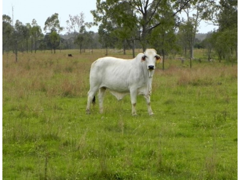 3245A Monduran Road, Gin Gin QLD 4671