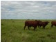 Barcaldine QLD 4725