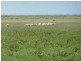 Barcaldine QLD 4725