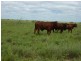 Barcaldine QLD 4725