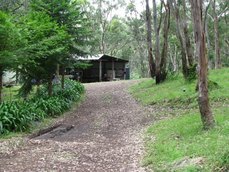 Bunya Mountains QLD 4405