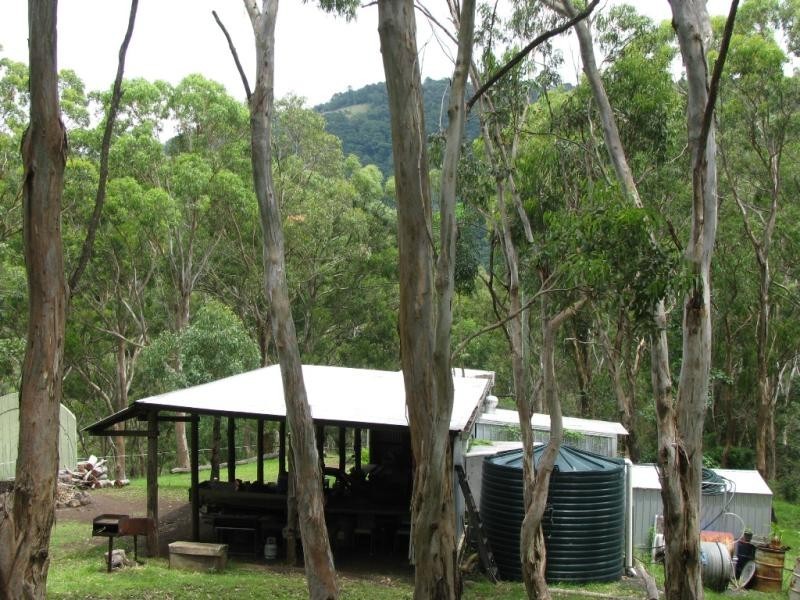 Bunya Mountains QLD 4405