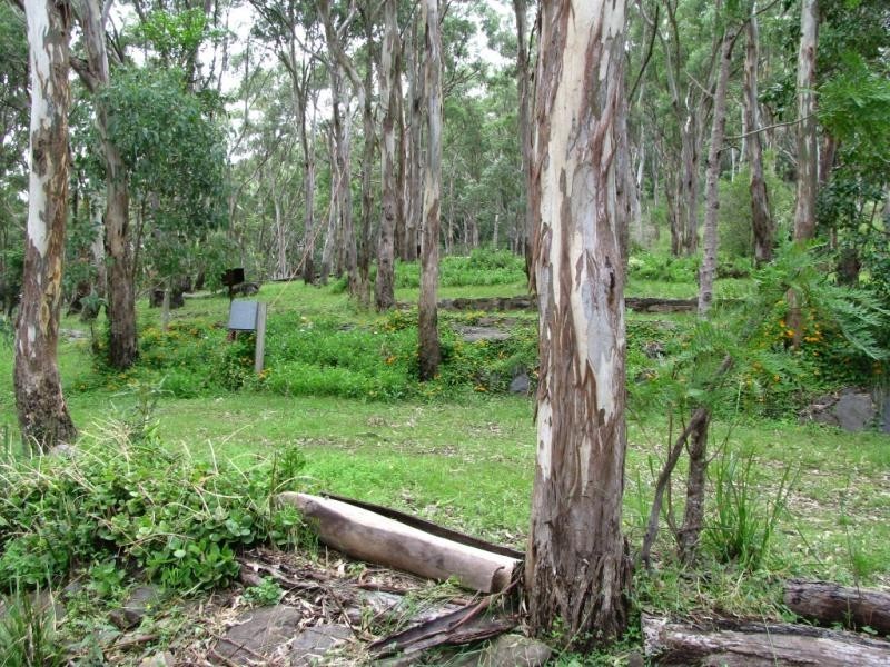 Bunya Mountains QLD 4405