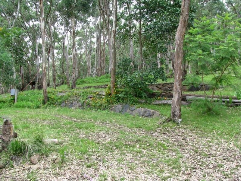 Bunya Mountains QLD 4405