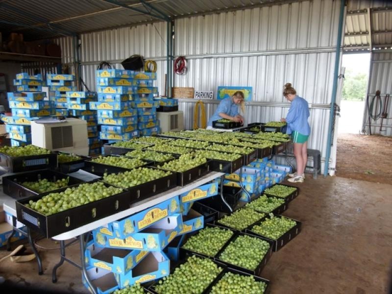 157 Whytes Road, St George QLD 4487