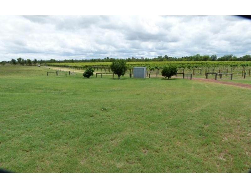 157 Whytes Road, St George QLD 4487